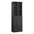 Sauder Homeplus Engineered Wood Storage Cabinet in Raven Oak Finish