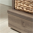 Sauder Homeplus Engineered Wood Storage Cabinet in Salt Oak Finish