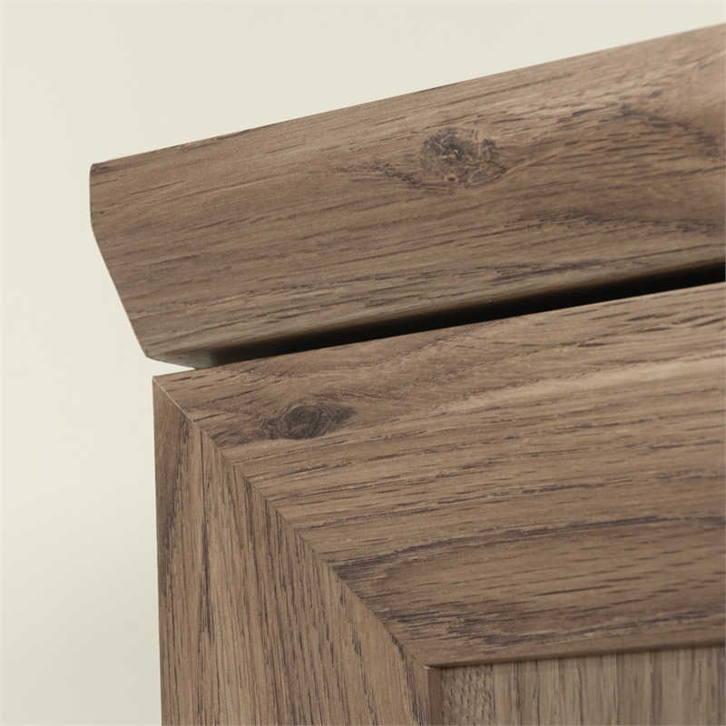 Sauder Homeplus Engineered Wood Storage Cabinet in Salt Oak Finish