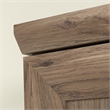 Sauder Homeplus Engineered Wood Storage Cabinet in Salt Oak Finish