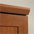 Sauder Homeplus Engineered Wood Storage Cabinet in Sienna Oak Finish