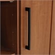 Sauder Homeplus Engineered Wood Storage Cabinet in Sienna Oak Finish