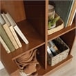 Sauder Homeplus Engineered Wood Storage Cabinet in Sienna Oak Finish