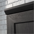Sauder Homeplus Engineered Wood Single Door Pantry in Raven Oak Finish