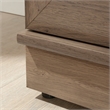 Sauder Homeplus Engineered Wood Single Door Pantry in Salt Oak Finish