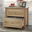 Sauder Hillmont Farm 2-Drawer Engineered Wood Lateral File in Timber Oak