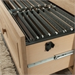 Sauder Hillmont Farm 2-Drawer Engineered Wood Lateral File in Timber Oak