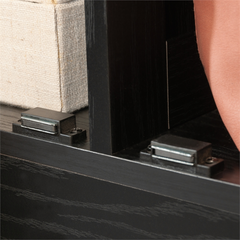 Sauder Select Engineered Wood Storage Cabinet in Black Finish