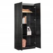 Sauder Select Engineered Wood Storage Cabinet in Black Finish