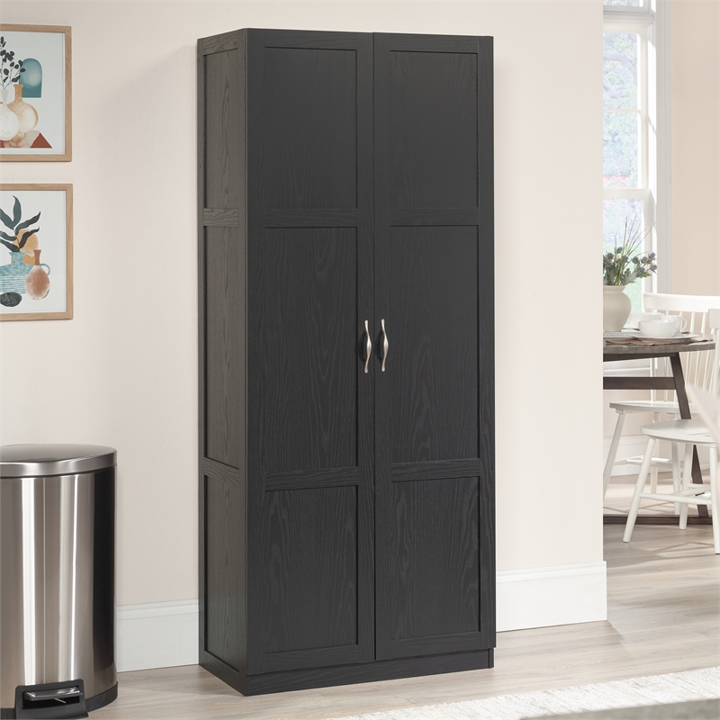 Sauder Select Engineered Wood Storage Cabinet in Black Finish