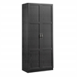 Sauder Select Engineered Wood Storage Cabinet in Black Finish