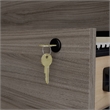 Sauder Affirm Engineered Wood Desk/Mobile File/Lateral File Bundle in Hudson Elm