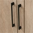 Homeplus Storage Cabinet in a Brushed Oak finish
