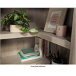 Sauder Miscellaneous Storage Engineered Wood Bookcase in Chalked Chestnut