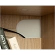 Sauder Misc Entertainment Engineered Wood Credenza in Harmony Ash