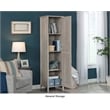 Sauder Miscellaneous Storage Engineered Wood Cabinet in Spring Maple
