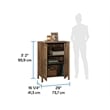 Sauder Miscellaneous Storage Engineered Wood Cabinet in Rural Pine