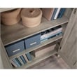 Sauder Miscellaneous Storage Engineered Wood Cabinet in Spring Maple
