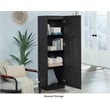 Sauder Miscellaneous Storage Engineered Wood Cabinet in Raven Oak