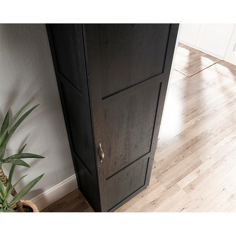 Sauder Miscellaneous Storage Engineered Wood Cabinet in Raven Oak