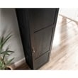 Sauder Miscellaneous Storage Engineered Wood Cabinet in Raven Oak