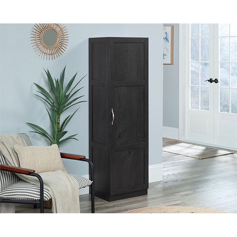 Sauder Miscellaneous Storage Engineered Wood Cabinet in Raven Oak