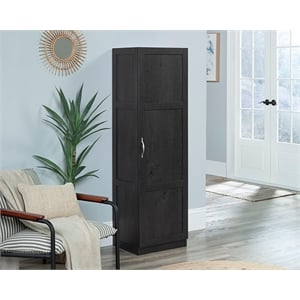 Sauder Miscellaneous Storage Engineered Wood Cabinet in Raven Oak