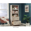 Sauder Miscellaneous Storage Engineered Wood Library in Chalked Chestnut