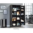Sauder HomePlus Storage Engineered Wood Cabinet in Raven Oak