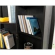 Sauder HomePlus Storage Engineered Wood Cabinet in Raven Oak
