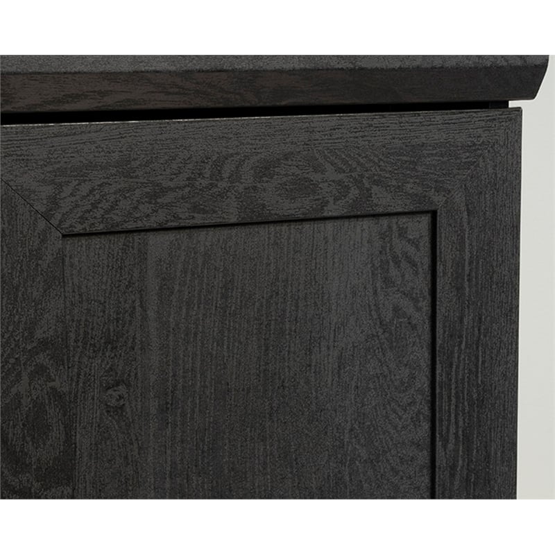 Sauder HomePlus Storage Engineered Wood Cabinet in Raven Oak