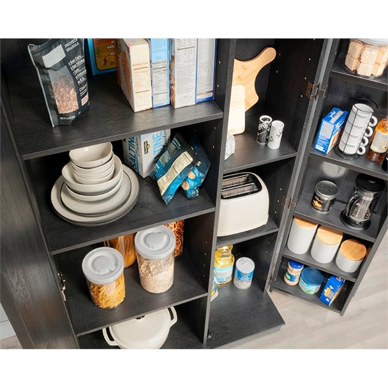 Sauder HomePlus Storage Engineered Wood Cabinet in Raven Oak