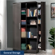 Sauder HomePlus Engineered Wood Storage Cabinet in Dakota Oak