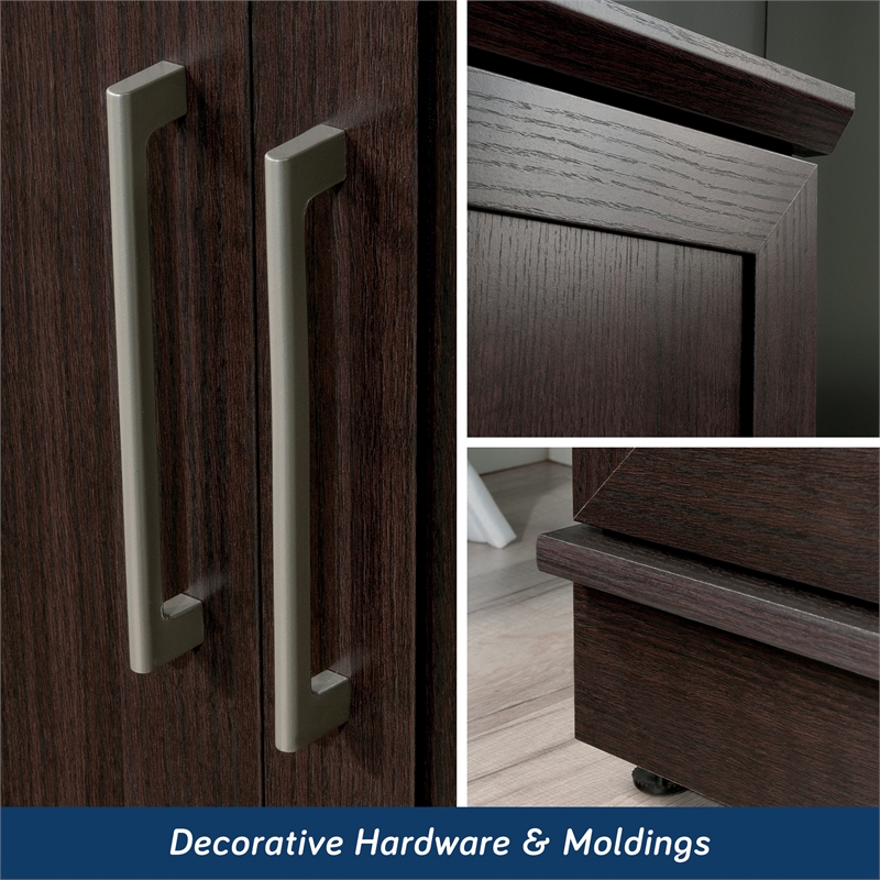 Sauder HomePlus Engineered Wood Storage Cabinet in Dakota Oak