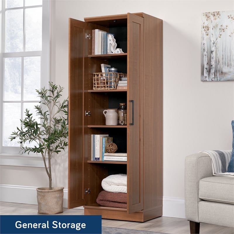 Sauder Homeplus Engineered Wood Storage Cabinet in Sienna Oak Finish