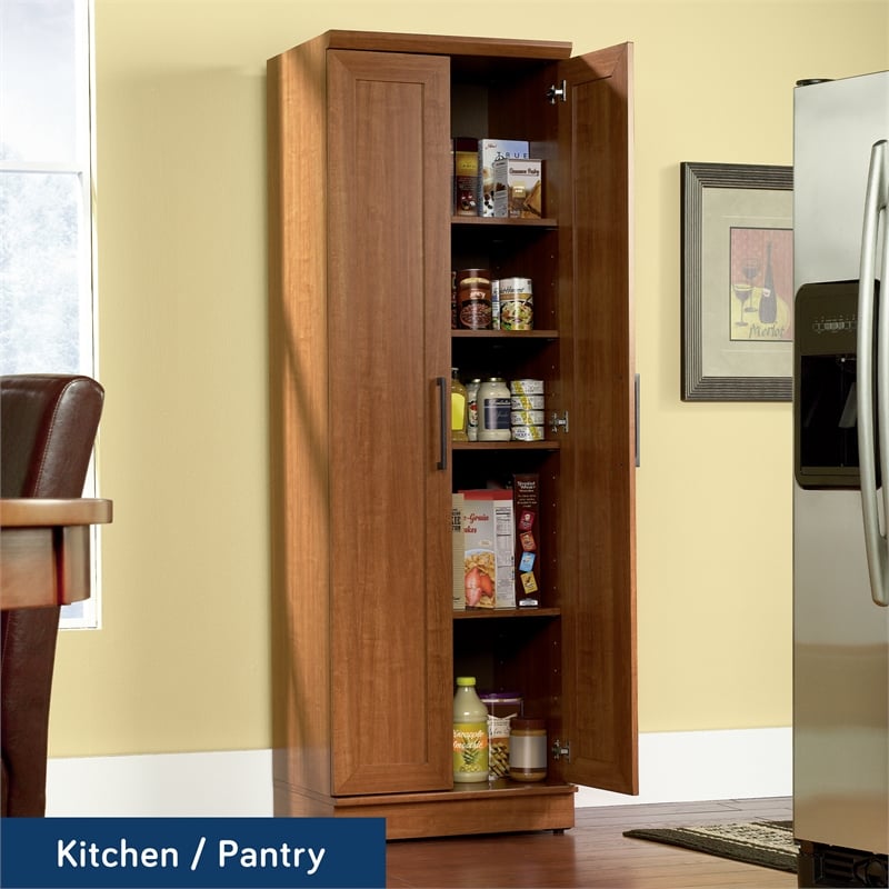 Sauder Homeplus Engineered Wood Storage Cabinet in Sienna Oak Finish