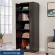 Sauder Homeplus Engineered Wood Storage Cabinet in Dakota Oak