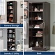 Sauder Homeplus Engineered Wood Storage Cabinet in Dakota Oak