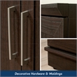 Sauder Homeplus Engineered Wood Storage Cabinet in Dakota Oak