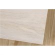 Sauder Edge Water Engineered Wood 2-Door Chest in Chalked Chestnut