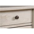 Sauder Edge Water Engineered Wood 2-Door Chest in Chalked Chestnut