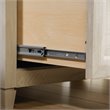 Sauder Edge Water Engineered Wood 2-Drawer File Cabinet in Chalked Chestnut