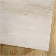 Sauder Edge Water Engineered Wood 2-Drawer File Cabinet in Chalked Chestnut