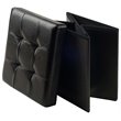Winsome Ashford Transitional Faux Leather Storage Cube Ottoman in Black