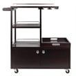 Winsome Galen Transitional Solid Wood Bar Cart with Serving Tray in Espresso