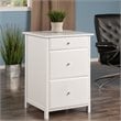 Winsome Delta 3-Drawer Transitional Wooden File Cabinet in White