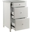 Winsome Delta 3-Drawer Transitional Wooden File Cabinet in White