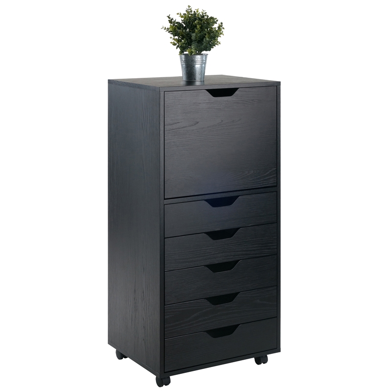 Winsome Halifax 5-Drawer Tall Door Contemporary Wood Storage Cabinet in Black