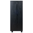 Winsome Halifax 5-Drawer Tall Door Contemporary Wood Storage Cabinet in Black