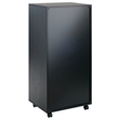 Winsome Halifax 5-Drawer Tall Door Contemporary Wood Storage Cabinet in Black
